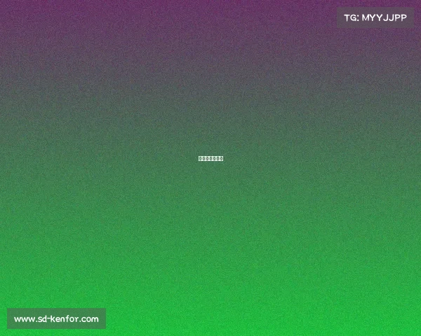 辉子是哪个厂牌